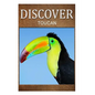 Toucan - Discover: Early reader's wildlife photography book - Paperback