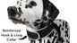 Collar Rechargeable Portable GPS Tracking Devices for Pets GSM Locator Size:XS