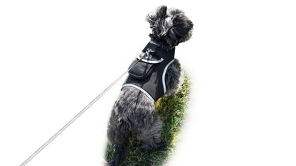 Collar Rechargeable Portable GPS Tracking Devices for Pets GSM Locator Size:S