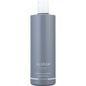 ALURAM by Aluram CLEAN BEAUTY COLLECTION MOISTURIZING CONDITIONER 12 OZ