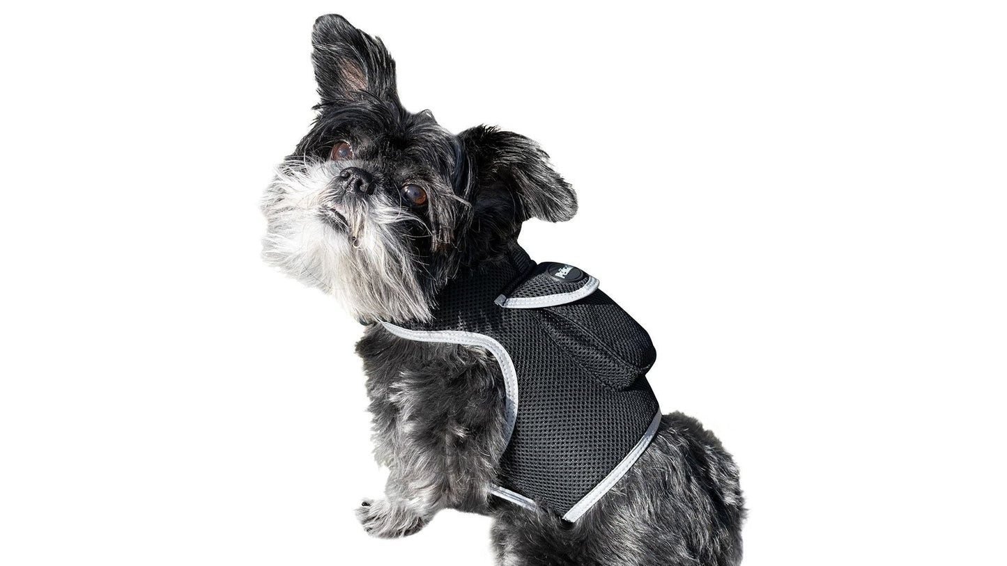 Keep Pet Safe with Pet Tracker GPS Dog Collar Tracking Device + Phone App Size:M