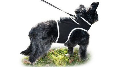 Waterproof GPS Tracker Dog Cat Rechargeable Locator with Battery Alert Size:L