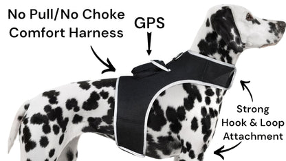 Easy Setup Waterproof Mini GPS Realtime Pet GSM GPRS Tracking Device Size:L