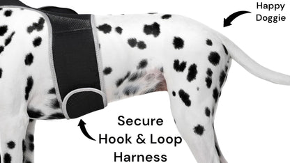 Collar Rechargeable Portable GPS Tracking Devices for Pets GSM Locator Size:S