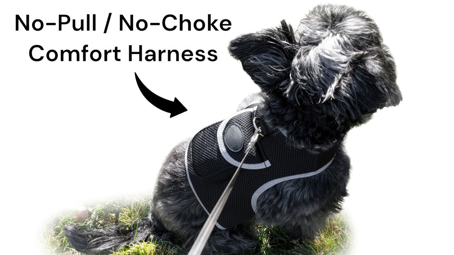 GSM GPS Animal Tracker Collar Attached Rechargeable Realtime Surveillance Gadget Size:XXL