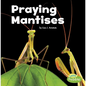 Praying Mantises - Paperback