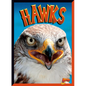 Hawks - Library Binding