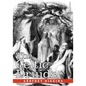 The Celtic Druids - Paperback