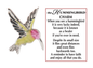 Hummingbird Pocket Charm