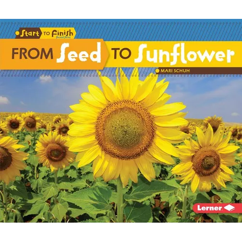 From Seed to Sunflower - Paperback