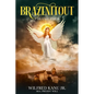 Brazenitout: Volume 4 - Paperback