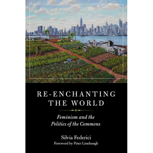 Re-Enchanting the World: Feminism and the Politics of the Commons - Paperback