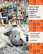 First Czech Reader for beginners, Volume 2: bilingual for speakers of English - Paperback
