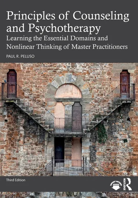 Principles of Counseling and Psychotherapy: Learning the Essential Domains and Nonlinear Thinking of Master Practitioners - Paperback