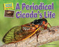 A Periodical Cicada's Life - Paperback