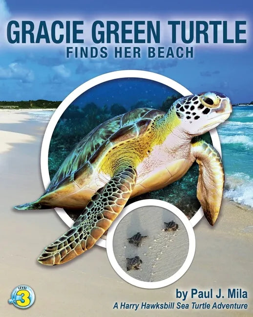 Gracie Green Turtle Finds Her Beach: A Harry Hawksbill Sea Turtle Adventure - Paperback