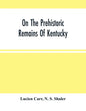 On The Prehistoric Remains Of Kentucky - Paperback