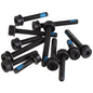 Magura T25 Flat Mount Screw Set Rear 12/Count Kit