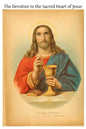 The Devotion to the Sacred Heart of Jesus: Intended Specially for Priests and Candidates for the Priesthood - Paperback