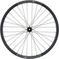 Quality Wheels Bear Pawls / Velocity Aileron Front Wheel - 700c 12 x 100mm Center-Lock BLK 32H