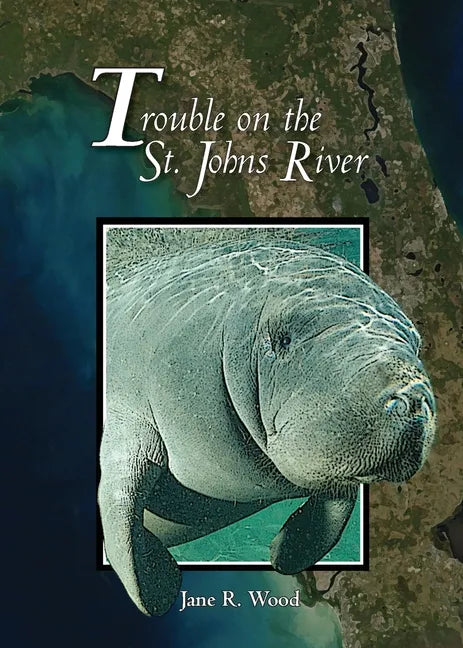 Trouble on the St. Johns River - Paperback