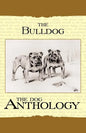 The Bulldog - A Dog Anthology (A Vintage Dog Books Breed Classic) - Paperback