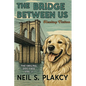 The Bridge Between Us: Healing Fiction - Paperback