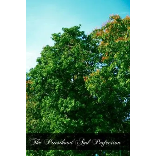 The Priesthood And Perfection - Paperback