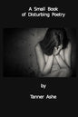 A Small Book of Disturbing Poetry - Paperback