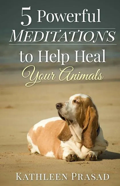 5 Powerful Meditations to Help Heal Your Animals - Paperback