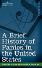 A Brief History of Panics in the United States - Paperback