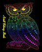 Adult Coloring Books: Gorgeous Cats and Owls - Paperback