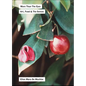 More Than the Eyes: Art, Food and the Senses - Paperback
