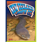 New Zealand Longfin Eel - Hardcover