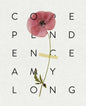 Codependence - Paperback