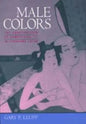 Male Colors: The Construction of Homosexuality in Tokugawa Japan - Paperback