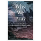 Why We Pray: Understanding Prayer in the Context of Cosmic Conflict - Paperback