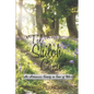 'Til Shiloh Come: An Arkansas Family in Time of War - Paperback