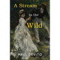 A Stream in the Wild - Paperback