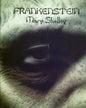 Frankenstein (Spanish Edition): El Moderno Prometeo - Paperback