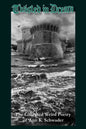 Twisted in Dream: The Collected Weird Poetry of Ann K. Schwader - Paperback