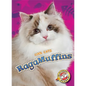 RagaMuffins - Library Binding