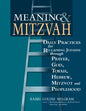 Meaning & Mitzvah: Daily Practices for Reclaiming Judaism Through Prayer, God, Torah, Hebrew, Mitzvot and Peoplehood - Paperback