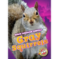 Gray Squirrels - Library Binding
