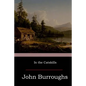In the Catskills - Paperback