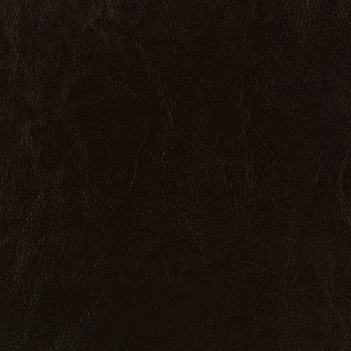 Dorian Faux Leather Upholstered Twin Panel Bed Brown