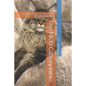 The McO Cattery Bible: The Maine Coon Cat Owner and Breeder Handbook - Paperback