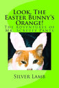 Look, The Easter Bunny's Orange: The Adventures of Mr. Scruffy Pants - Paperback