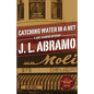 Catching Water in a Net - Paperback
