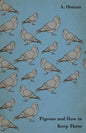 Pigeons and How to Keep Them - Paperback